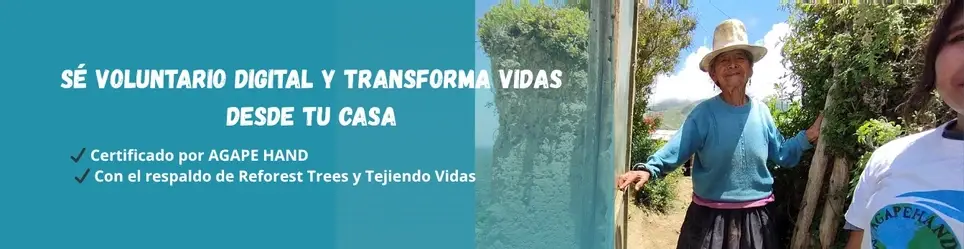 Voluntario Digital en Recaudación de Fondos – Campaña “Manos que Alimentan 2”