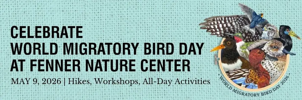 Fenner Nature Center World Migratory Bird Day