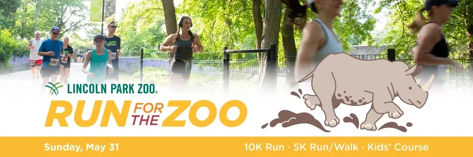 Volunteer at Run for the Zoo!