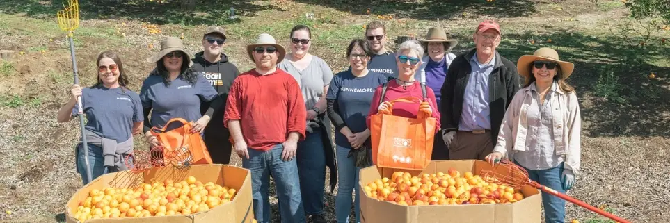 Food Rescue: Backyard Fruit Picking