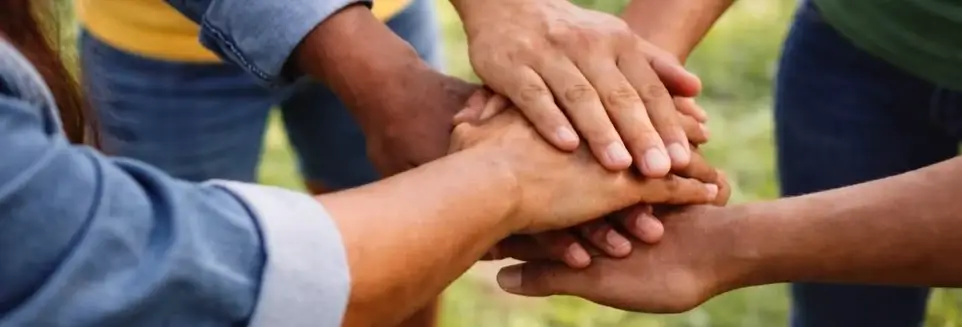 Campaign Volunteer – Independent Candidate for Michigan State Senate (District 9)