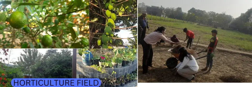 Volunteer Opportunity in Agri-Tourism Farm in Sauraha,Chitwan and Tharu Culture Exchange