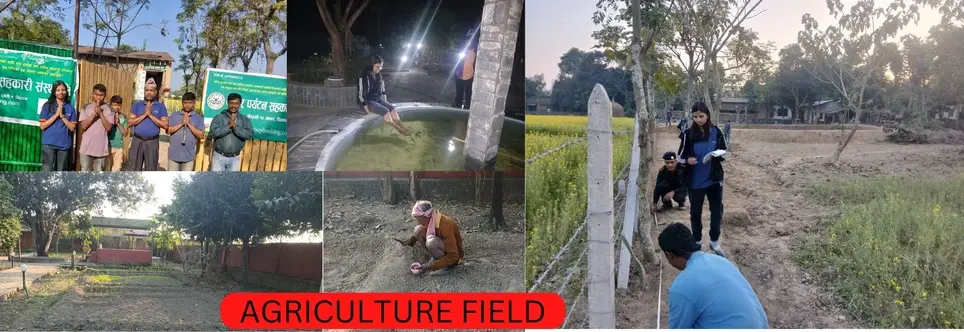 VOLUNTEERING & Internship  IN NEPAL - Skills Trainer Volunteers/ Mentorship Volunteers/ Urban Agriculture Trainer/Sustainable Farming Trainer/Helix- Heliculture Trainer /Bee Keeping Trainer /Fisheries trainer/Enterpreneurship Trainer/Any Skills Trainer  Volunteers & Internship in Nepal