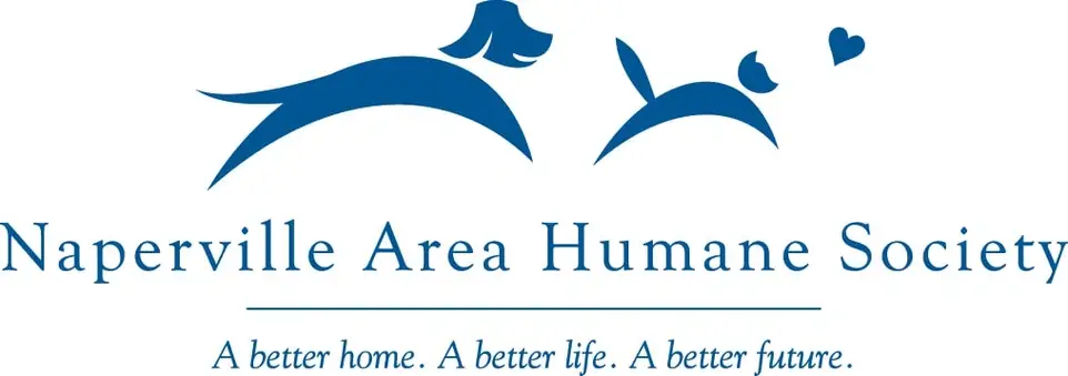 Dog Wing Cleaner/Caretaker