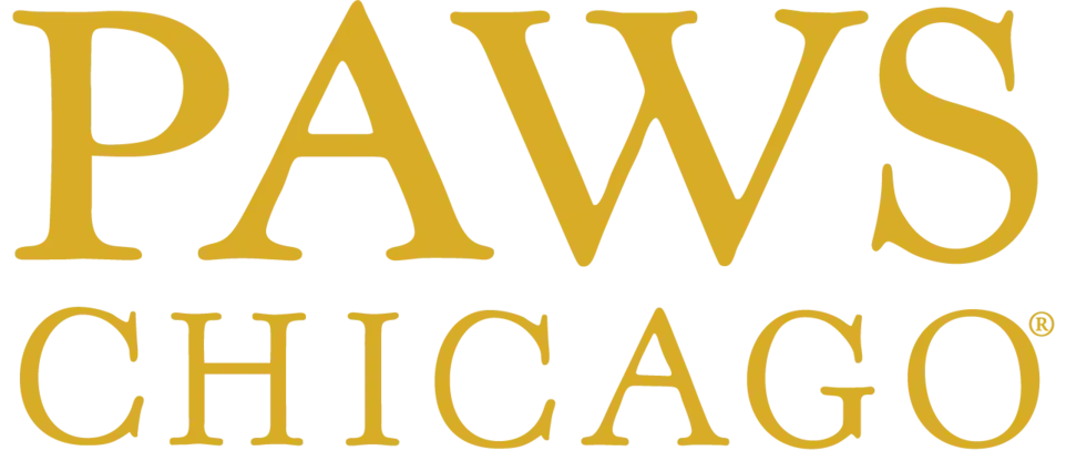 PAWS Chicago Lincoln Park Adoption Center Volunteer