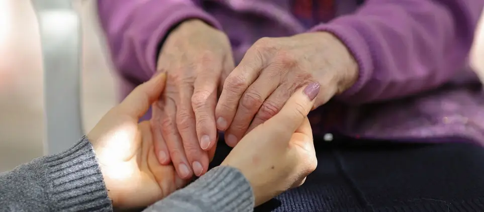 ATTN: Companionship Hospice Volunteers Needed!
