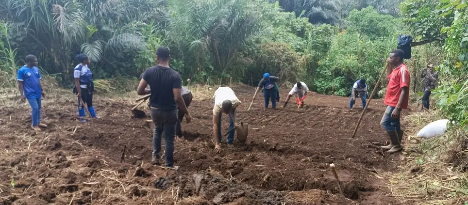 Agricultural Experts to Help Us Build a Sustainable Food System (Magba)