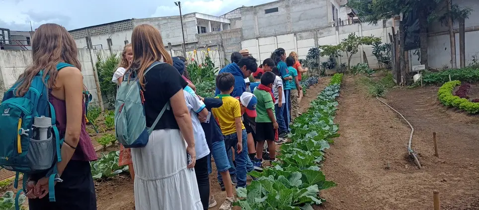 Community Development Volunteer