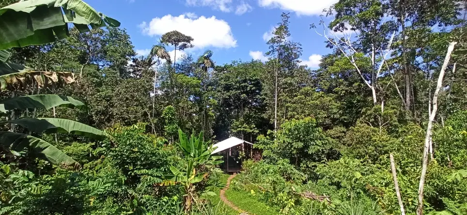 Volunteer: Debian/Devuan-Linux OS Specialist & WordPress Web Designer