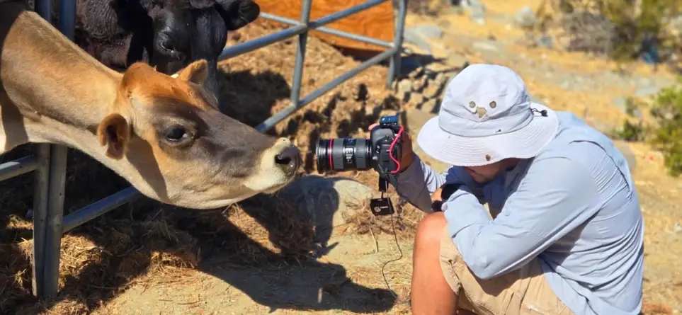 🐐 Animal Care Volunteer