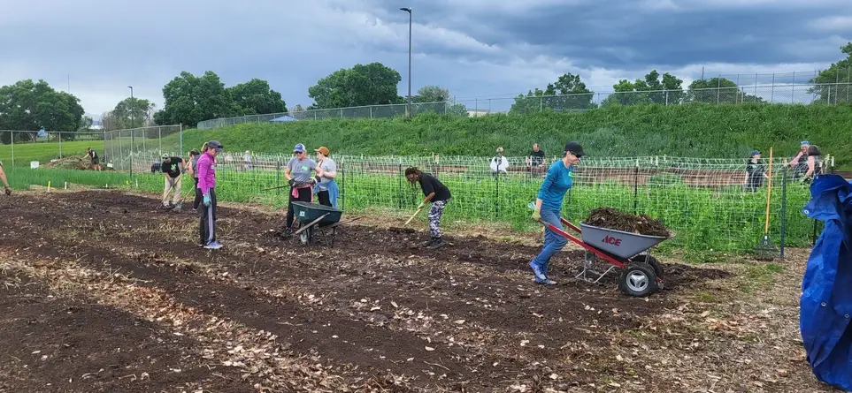 Volunteering at Mountair Park Community Farm