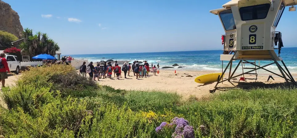 Website review and recomendations