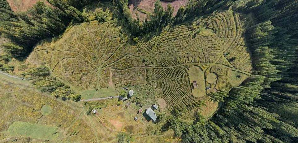 12/18 Food Forest Volunteering & Experiential Learning