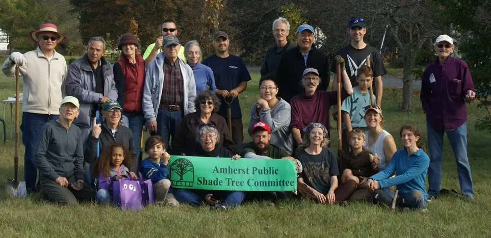 Tree Planting along Main St in Amherst, MA