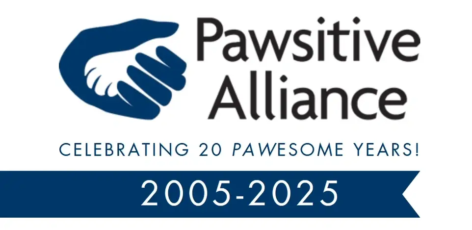 Motivated Board Members Needed