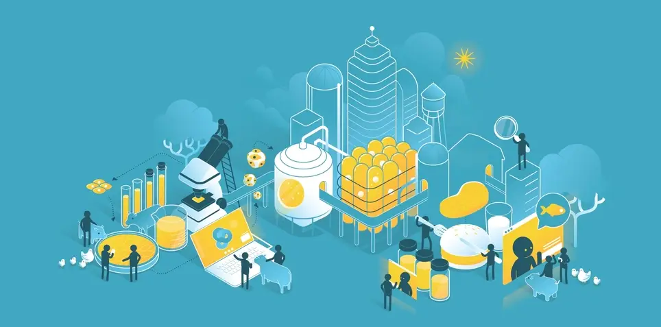 Board Director and Treasurer, New Harvest US