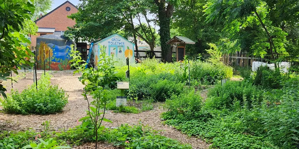 Volunteer at Camden Street Learning Garden