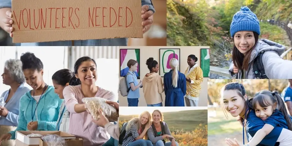 Trip  Chaperone Volunteer