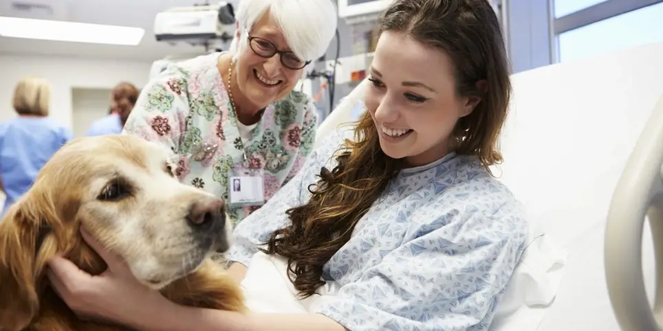 Continuum Hospice Volunteer - Pet Therapy