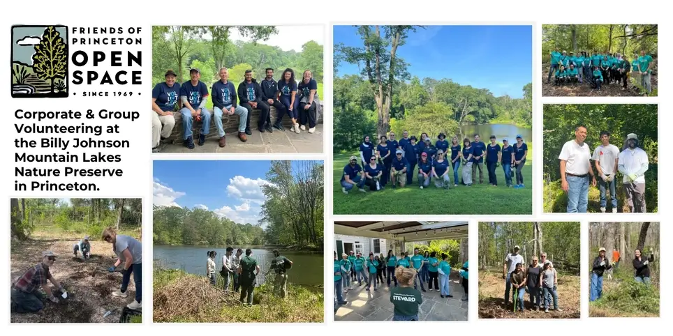 Corporate, Team, & Group Volunteering with Friends of Princeton Open Space