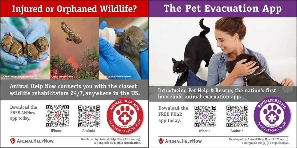 Volunteer Senior Python Developer (not a paid position)