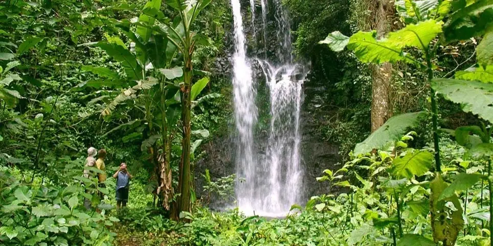 Environmental Volunteer in Africa