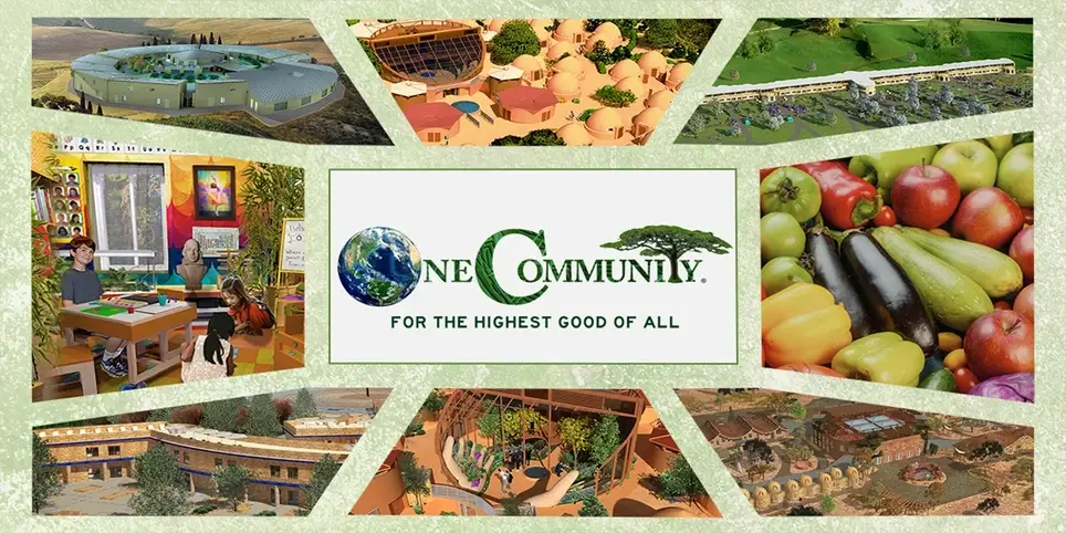 Seeking Administrative Assistant for Global-Sustainability Organization