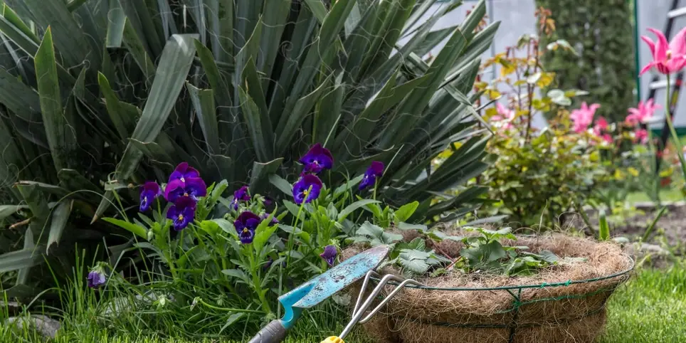 Volunteer Gardener – Help Us Create Community Gardens at Villa Rosa Retirement Home