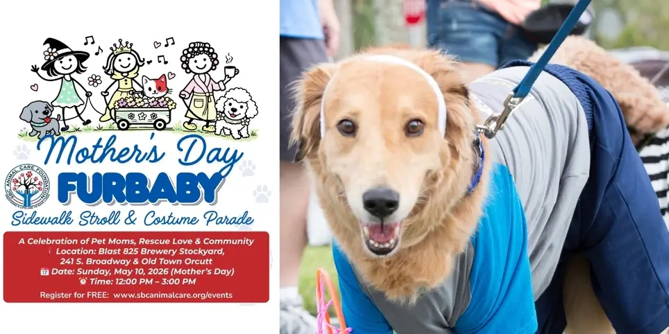 Mother's Day Furbaby Sidewalk Stroll and Costume Contest