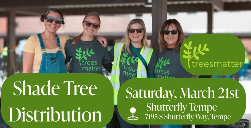 Shade Tree Distribution in Tempe!