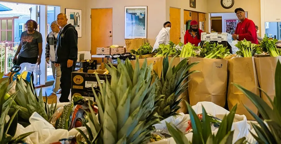 Home-Delivered Grocery Bag Packer