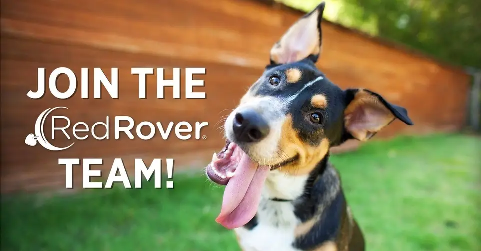 RedRover Seeks New Board Director