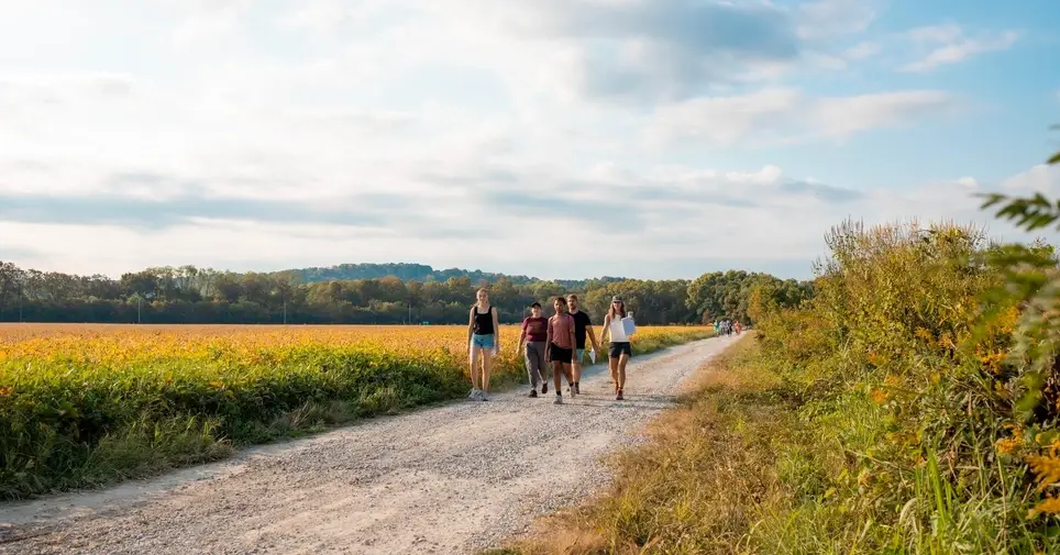 Site Setup Volunteer