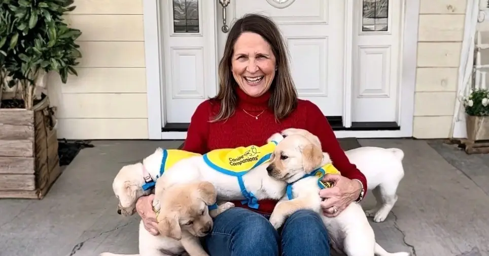 Help bring future service dogs into the world!