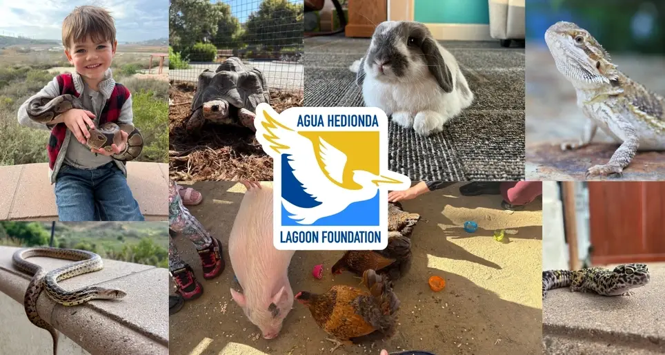 VOL Animal Handler~Wednesday Evenings