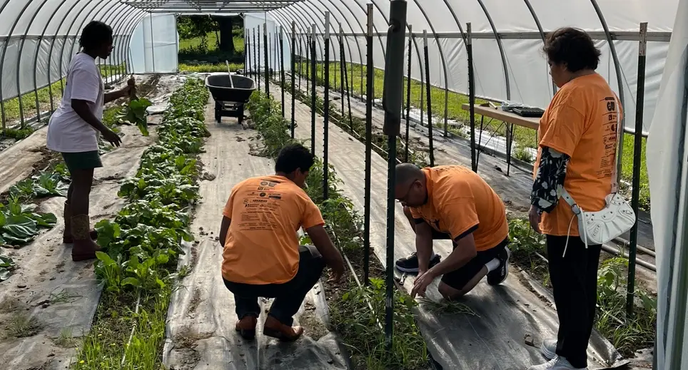 Garden Gurus