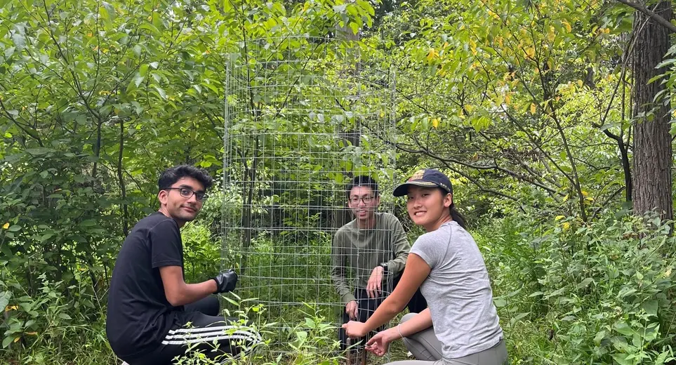 Saturday, May 23rd: Volunteer Outdoors at a Princeton Nature Preserve! Help restore degraded wildlife habitat.