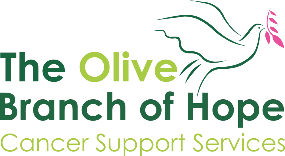 Volunteer Fundraising Lead Role