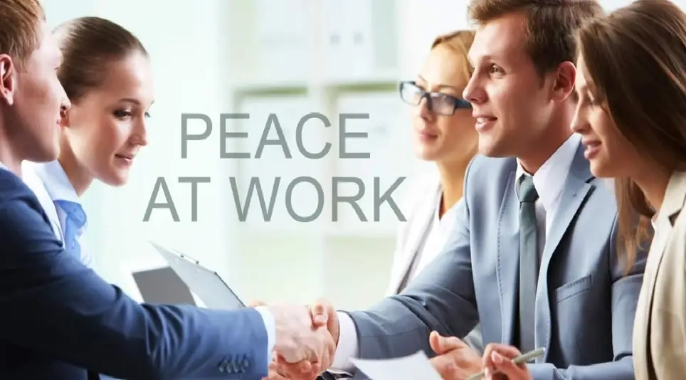 Board Member - Peace at Workplace Non-Profit (Grants & Sponsors Expertise)