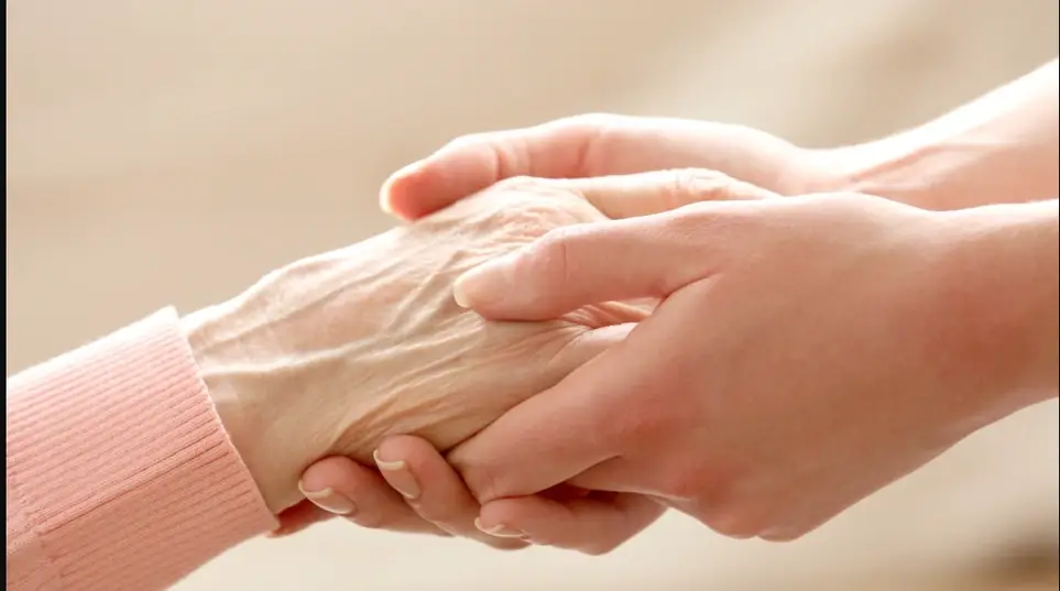 Are you looking for Hospice Volunteer Opportunity?