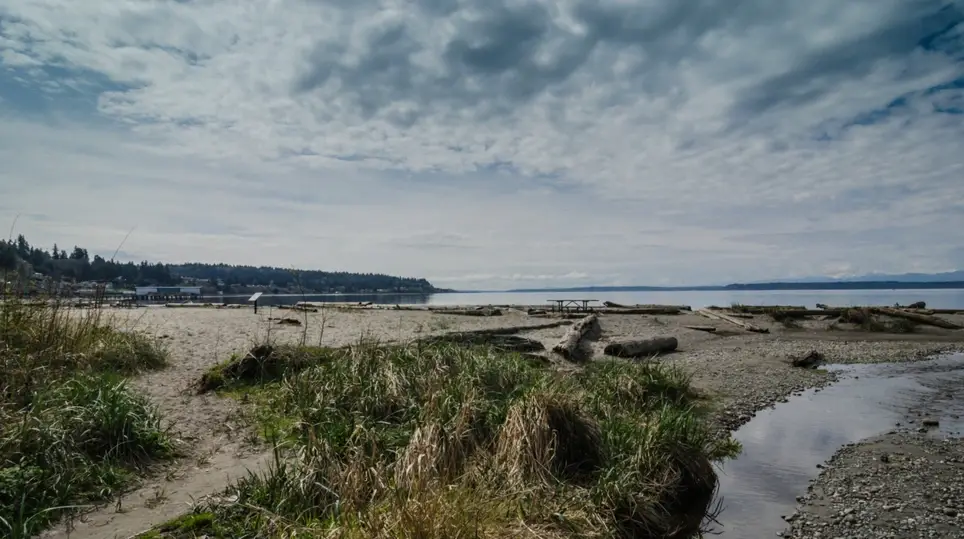 Sunday, 9/27 - Help staff & volunteers with Meadowdale Beach Park's estuary maintenance