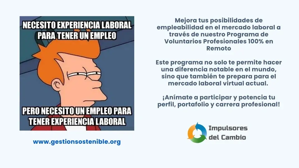 Programa de Voluntariado Profesional en  Remoto para LATAM - Impulsores del Cambio