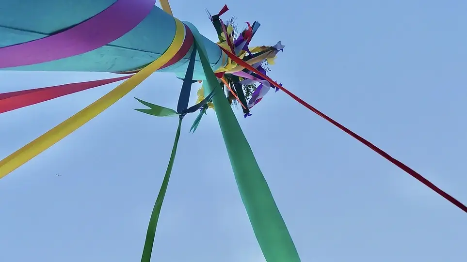 SEEKING LEMON TREE IMPACT LEADERS ~ 3 Board Member Openings