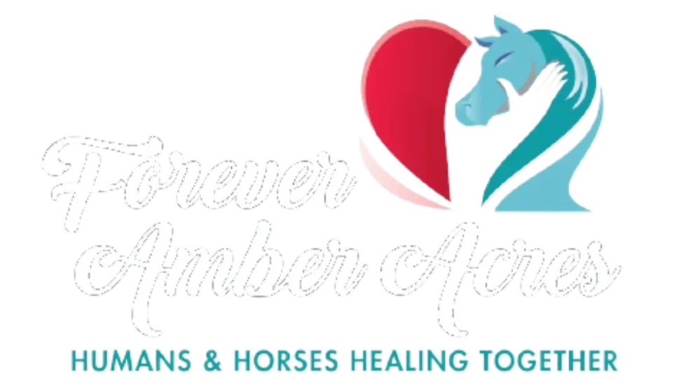 Barn Buddy Volunteer Program