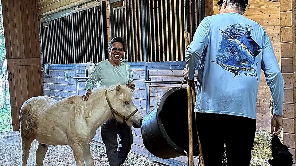 Volunteer with Farm Animals - Hands-On Care (Franklin, NC)