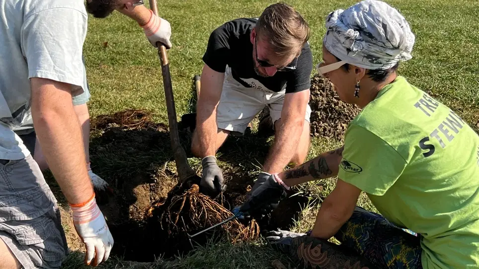 Help provide shade in Old Brooklyn!