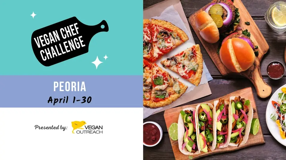 Volunteer for the Peoria Vegan Chef Challenge!