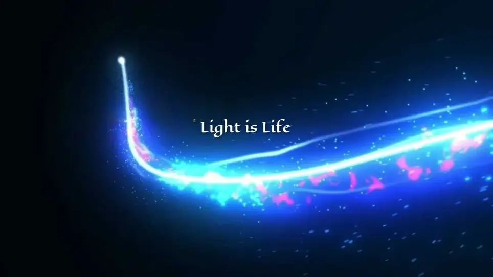 Search Engine Optimization Professional