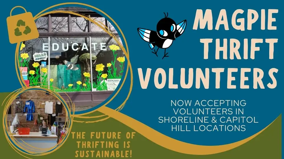Thrift Store Support at Magpie Thrift in Capitol Hill