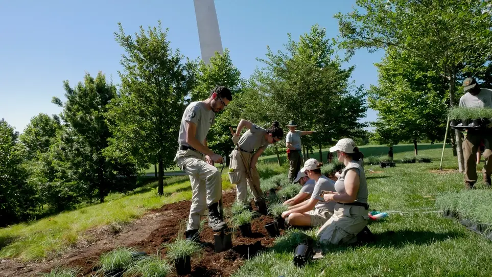 Gateway Arch Prairie Restoration
